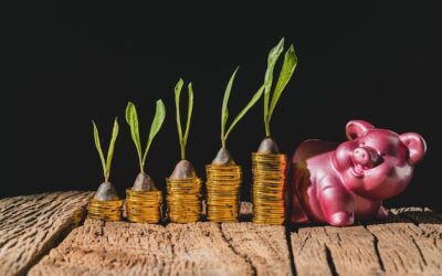 Małe kwoty, duże zyski – jak inwestować niewielkie pieniądze?