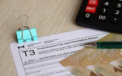 Ile wynosi podatek Belki i kto musi go zapłacić?